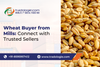 Wheat Buyer from Mills_ Connect with Trusted Sellers.png