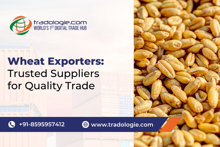 Wheat Exporters_ Trusted Suppliers for Quality Trade.png