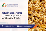 Wheat Exporters_ Trusted Suppliers for Quality Trade.png