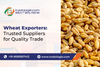 Wheat Exporters_ Trusted Suppliers for Quality Trade.png