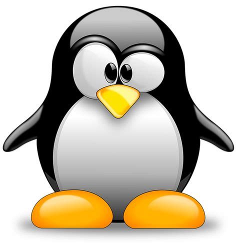 Pinguin.jpg