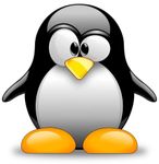 Pinguin.jpg