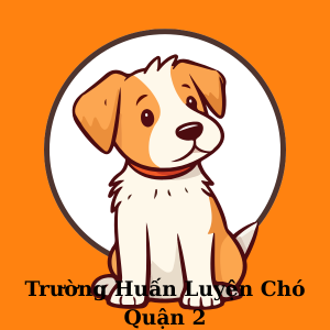 Nội dung đoạn văn bản của bạn.png