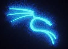 kali_image.png