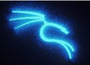 kali_image.png