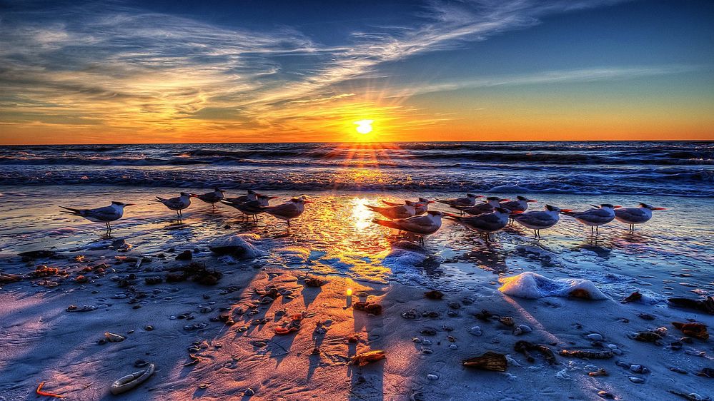 Wallpaper SlideShow Image (79).jpg