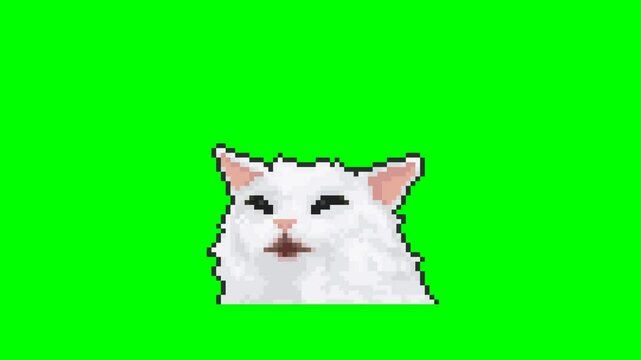 pixel_cat.jpg