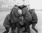 relocation-of-dangerous-polar-be.jpg
