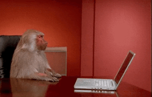 200_s.gif
