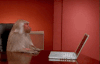 200_s.gif