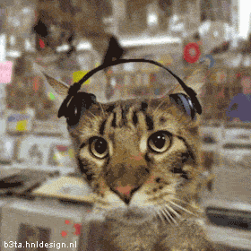 photo.jpg.gif