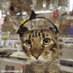 photo.jpg.gif