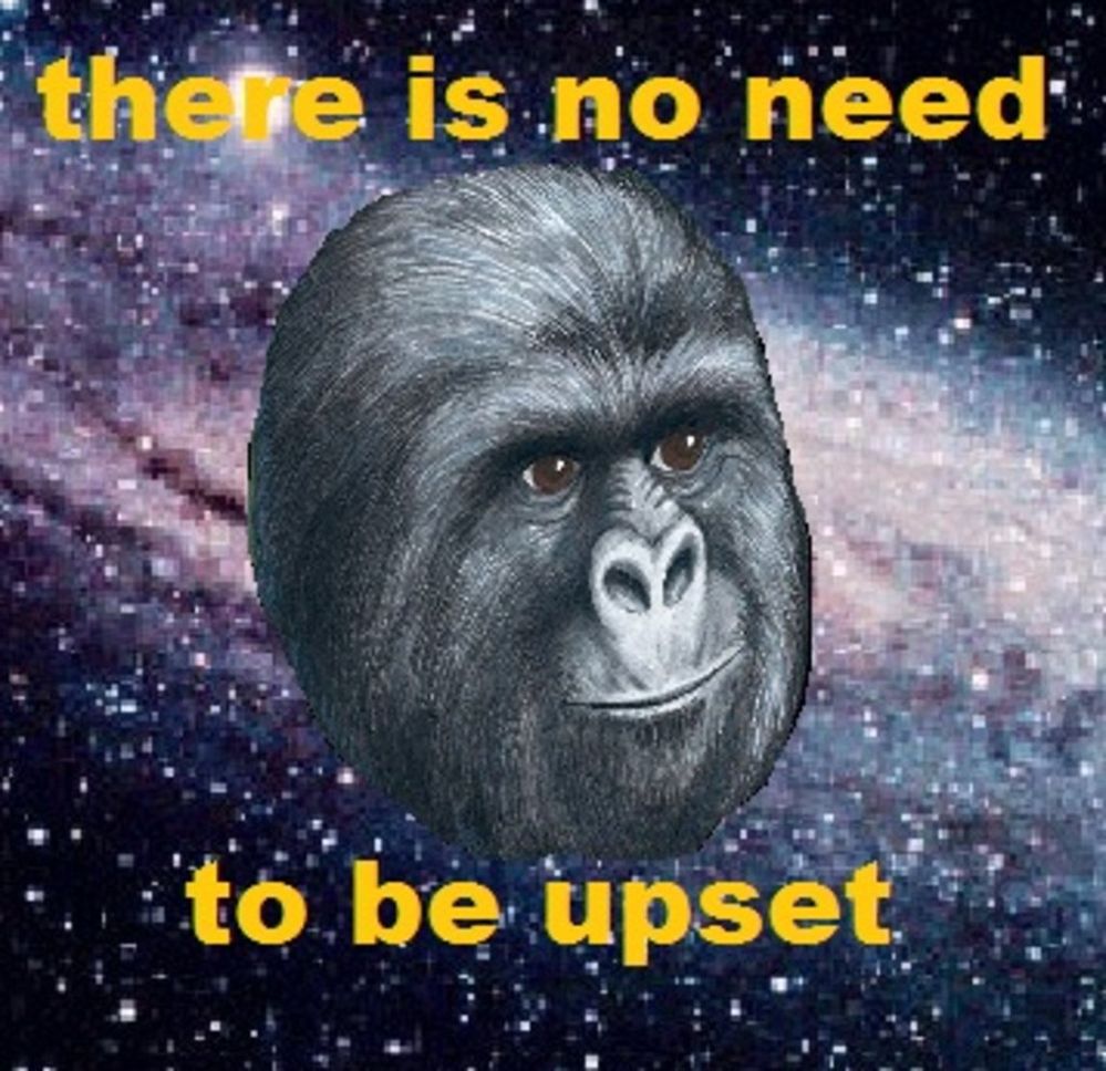 noneedtobeupset.jpg