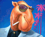 Profile (Fedz)