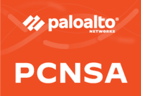 PCNSA Logo Badge