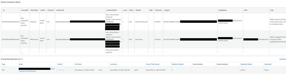 Fig 6: Container alerts details tab